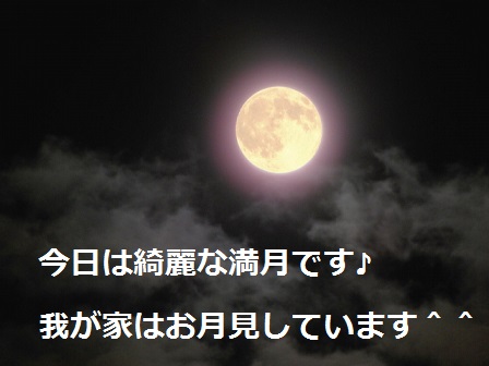 f:id:kaori-ri:20161016200924j:plain f:id:kaori-ri:20161016200924j:plain