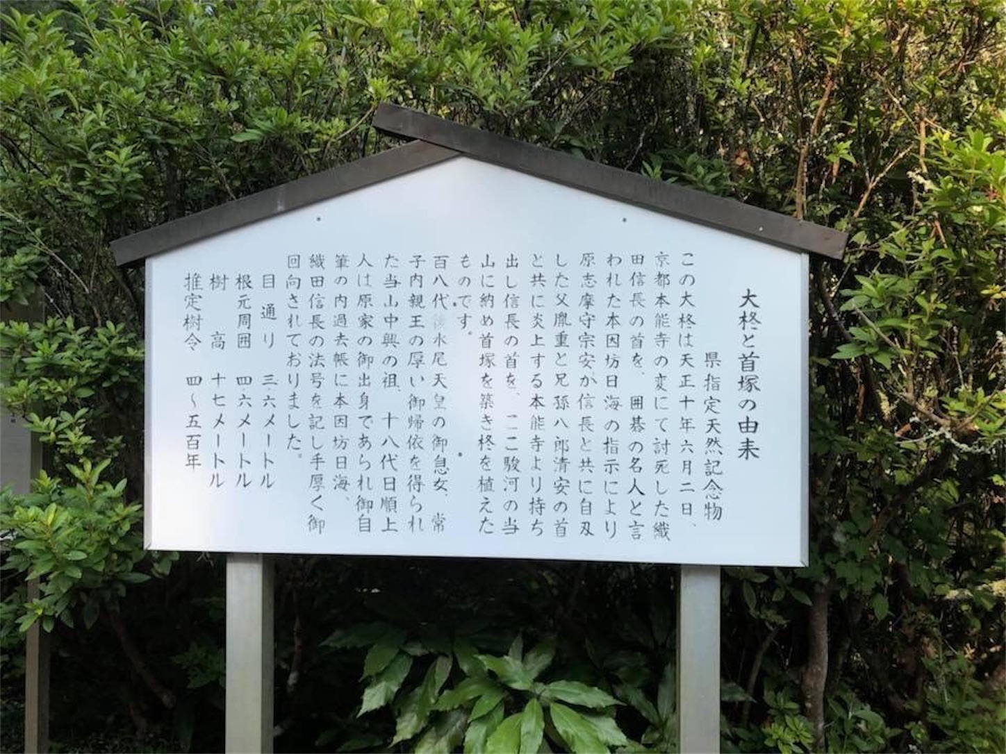 f:id:kaori3211:20200209075521j:image f:id:kaori3211:20200209075521j:image