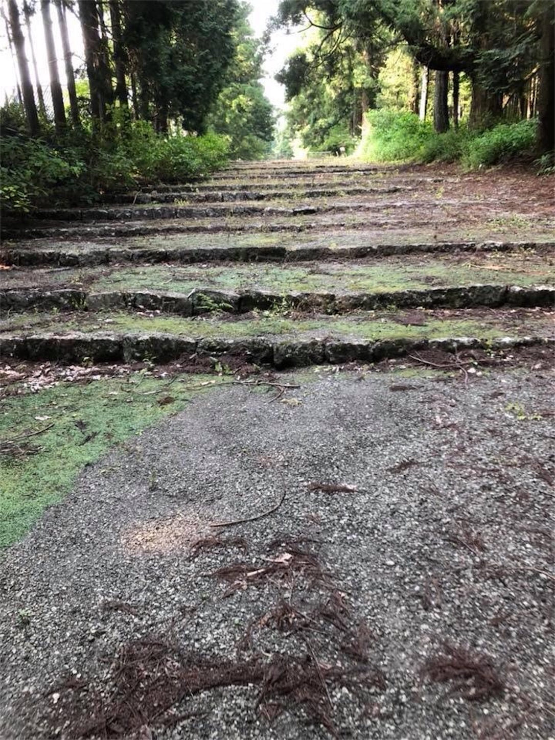 f:id:kaori3211:20200209075528j:image f:id:kaori3211:20200209075528j:image