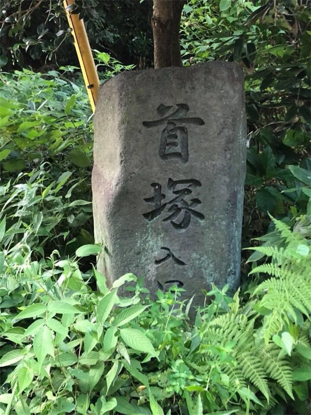 f:id:kaori3211:20200209075539j:image f:id:kaori3211:20200209075539j:image