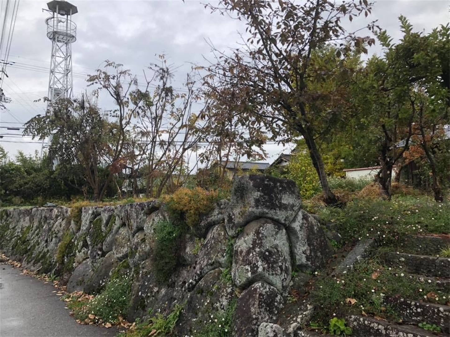 f:id:kaori3211:20200228075823j:image