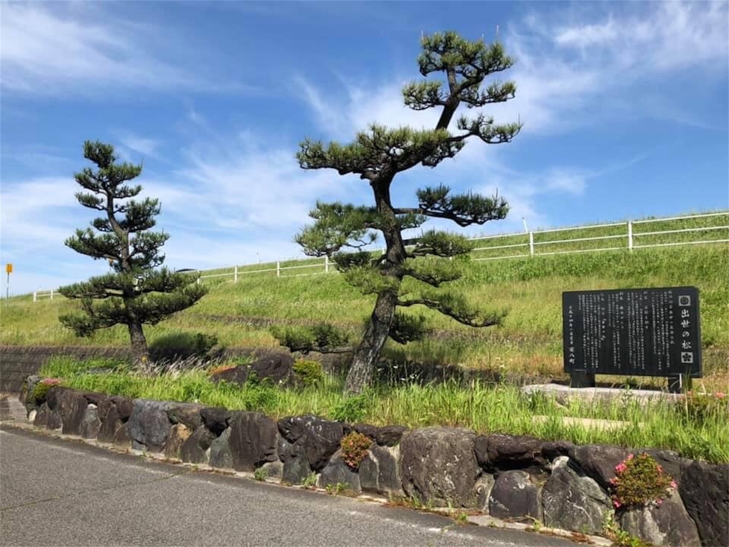 f:id:kaori3211:20200229075341j:image