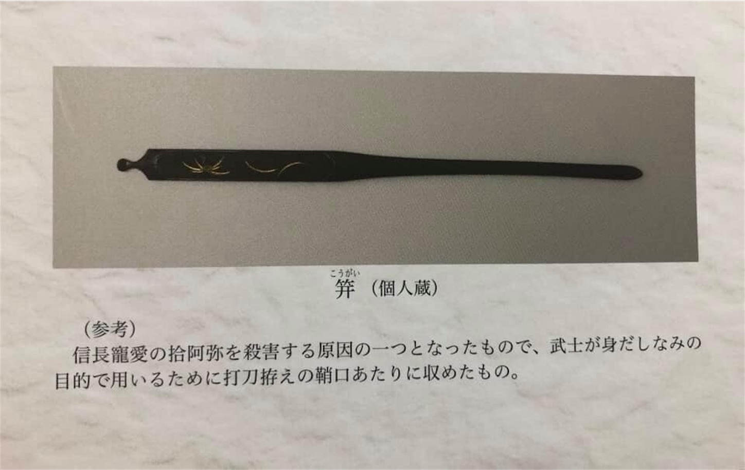 f:id:kaori3211:20200229075458j:image