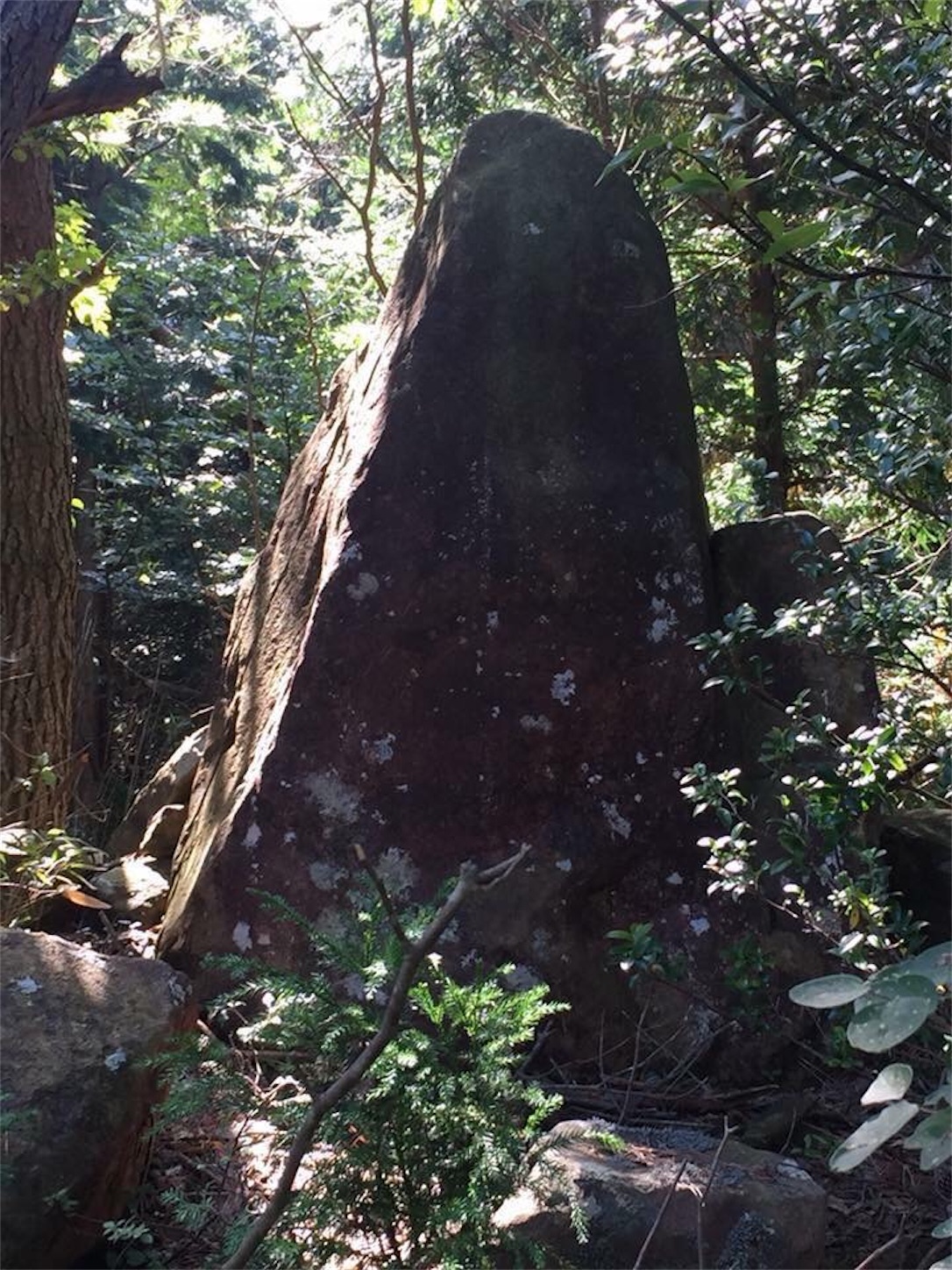 f:id:kaori3211:20200618213538j:image