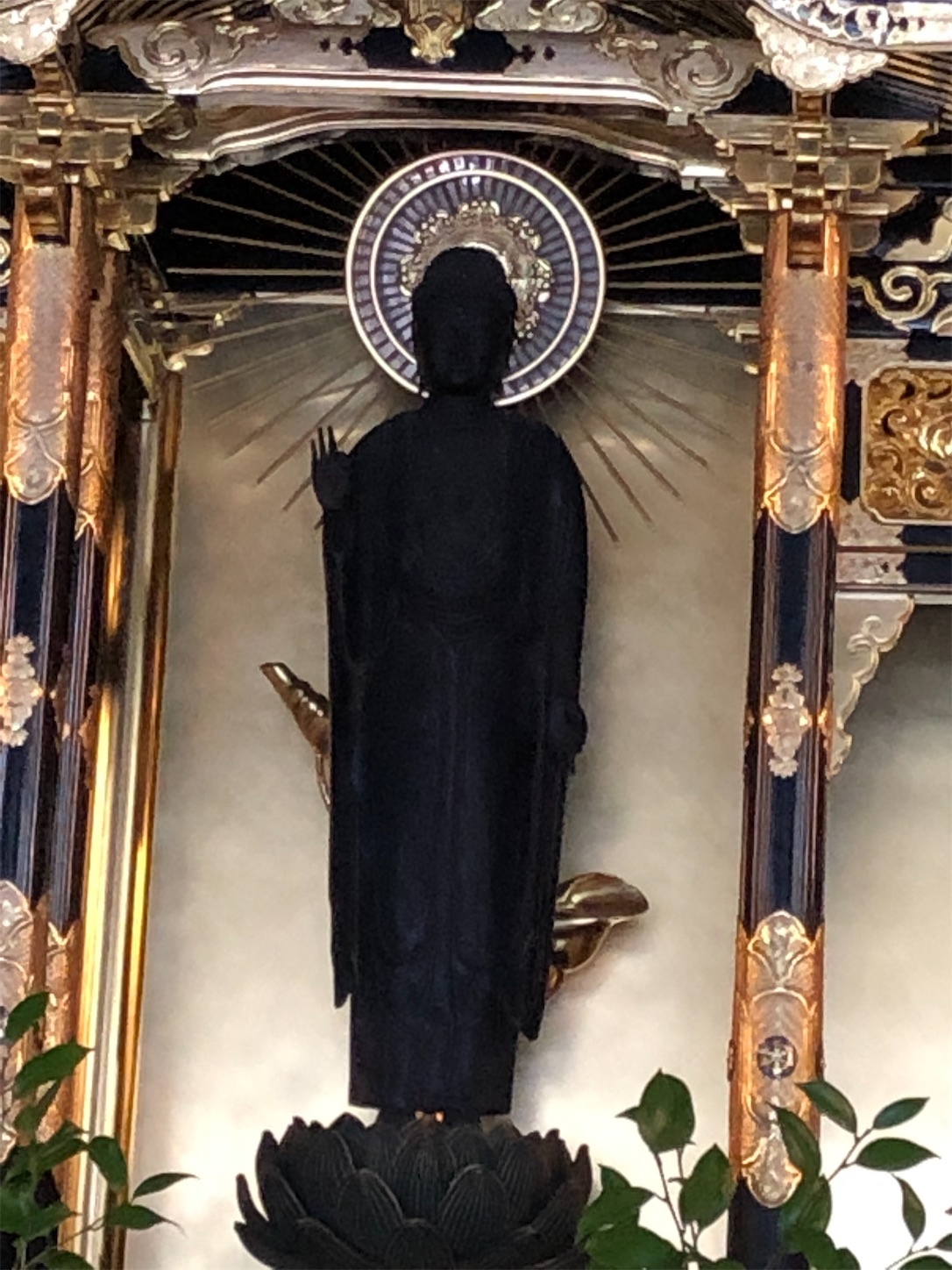 f:id:kaori3211:20200715074902j:image