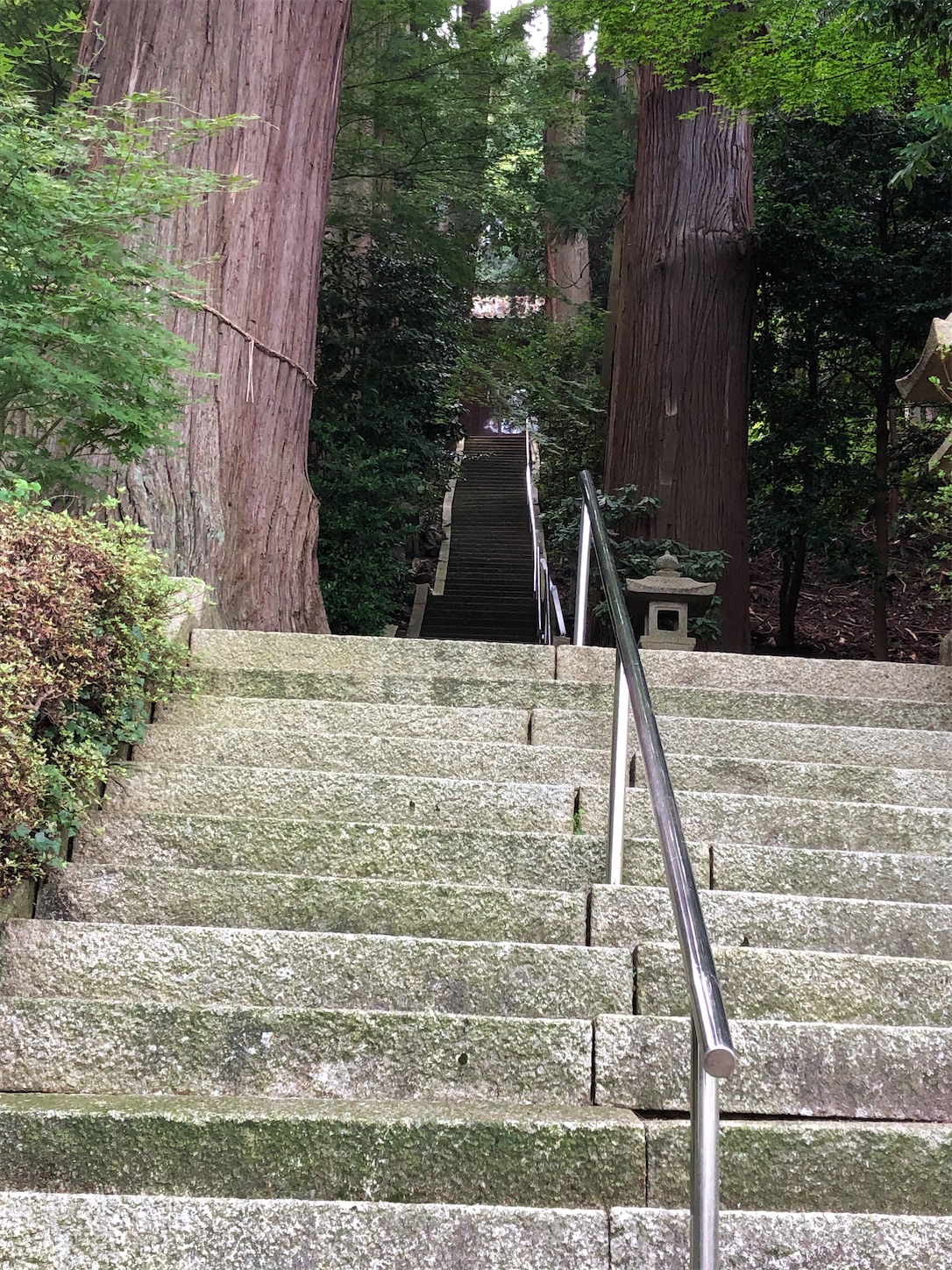 f:id:kaori3211:20200721203029j:image f:id:kaori3211:20200721203029j:image