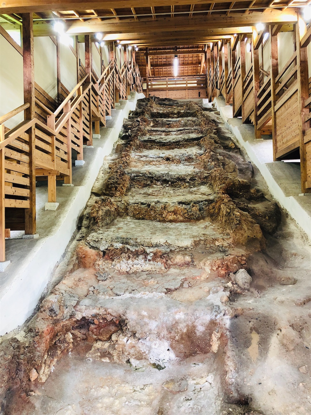 f:id:kaori3211:20200729140434j:image