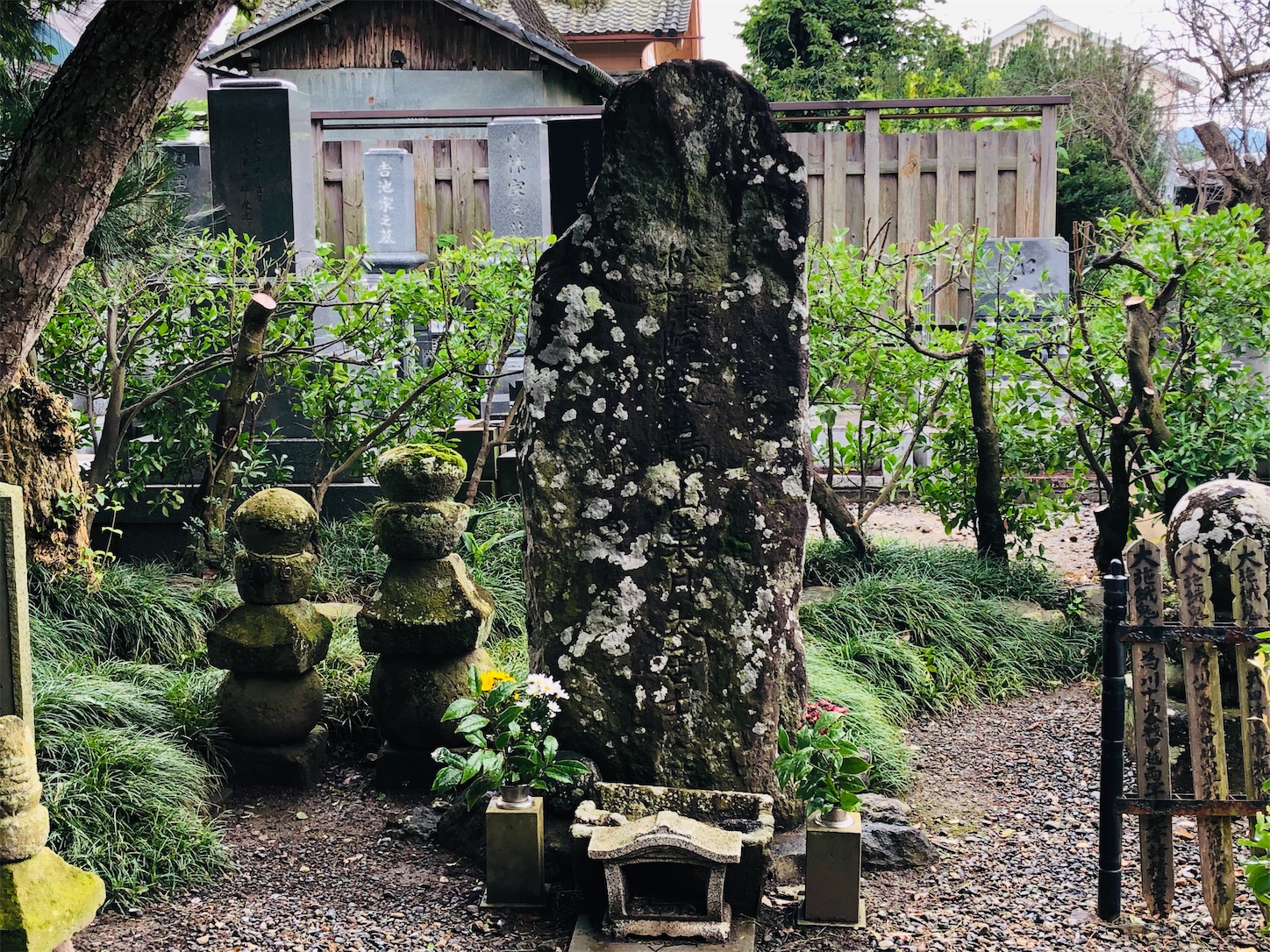 f:id:kaori3211:20200730082153j:image f:id:kaori3211:20200730082153j:image