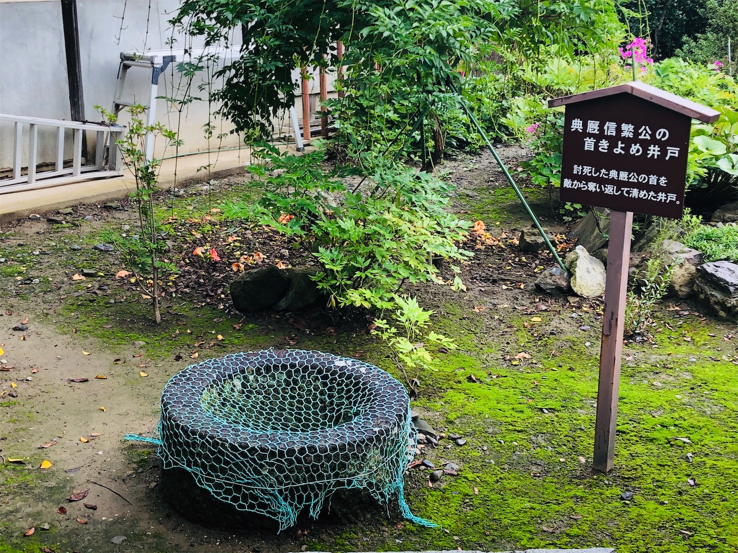 f:id:kaori3211:20200730082157j:image