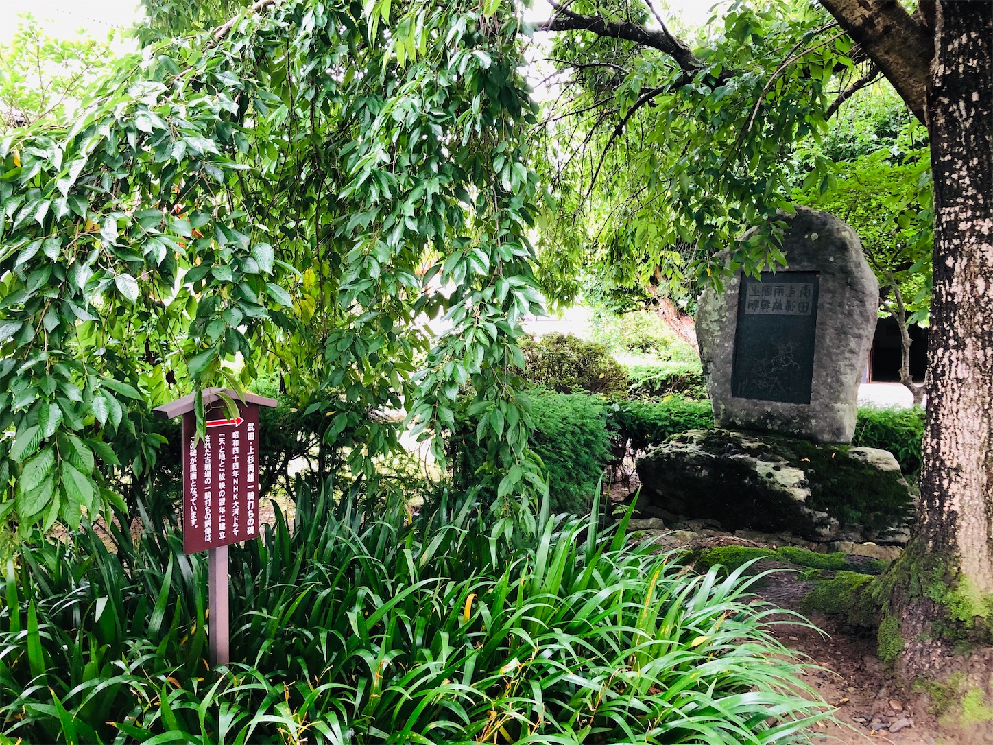 f:id:kaori3211:20200730082202j:image