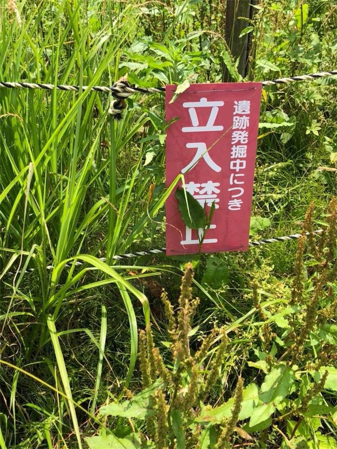 f:id:kaori3211:20200828081026j:image f:id:kaori3211:20200828081026j:image