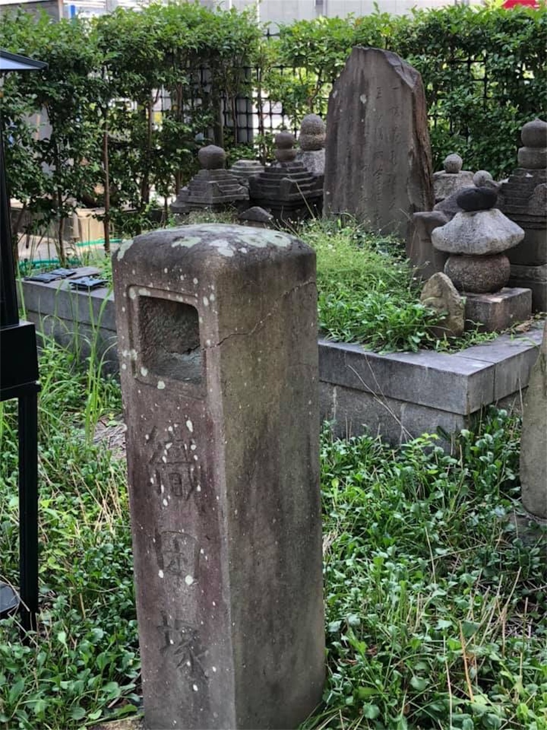 f:id:kaori3211:20210101200004j:image