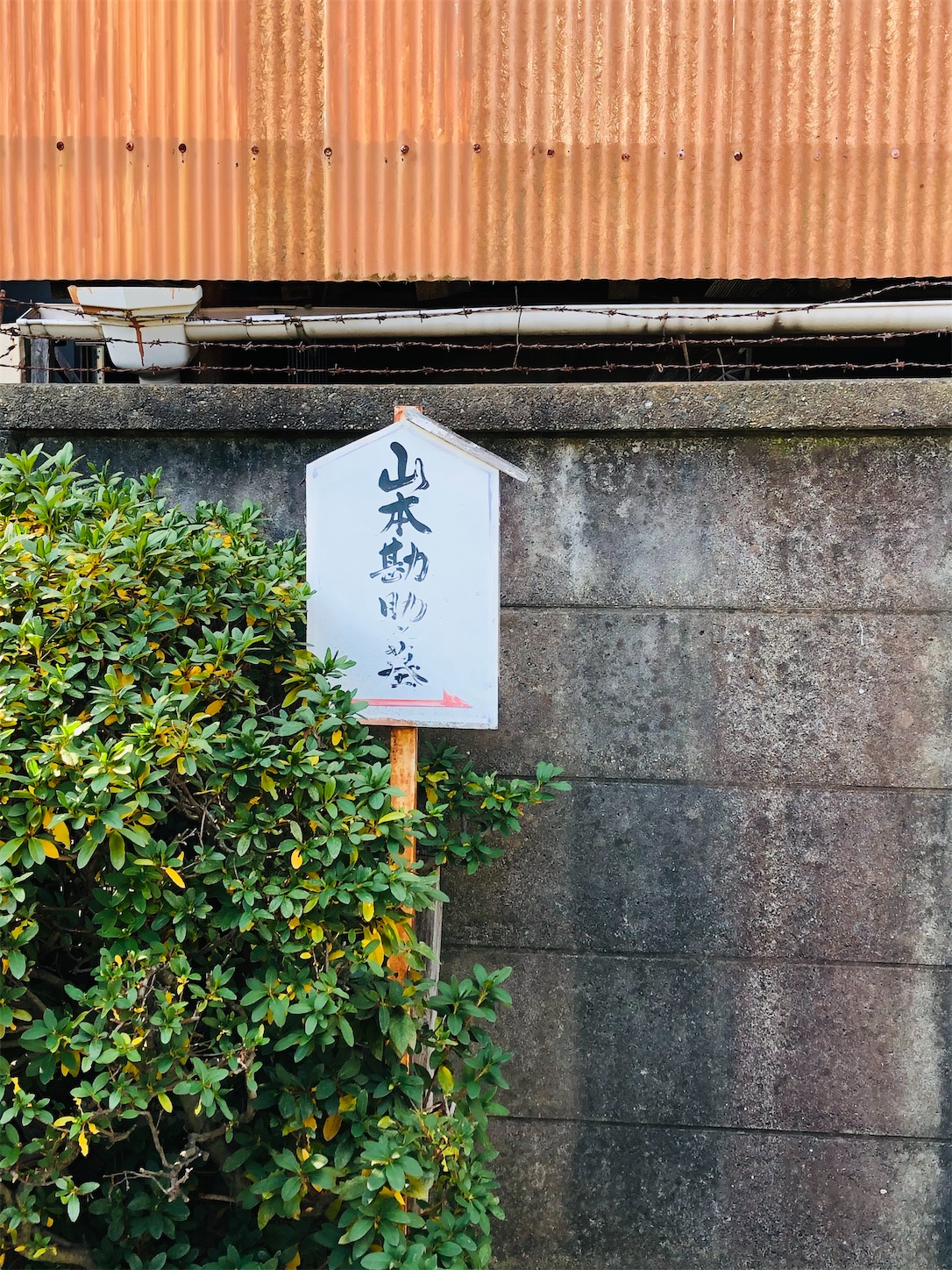 f:id:kaori3211:20210103104658j:plain