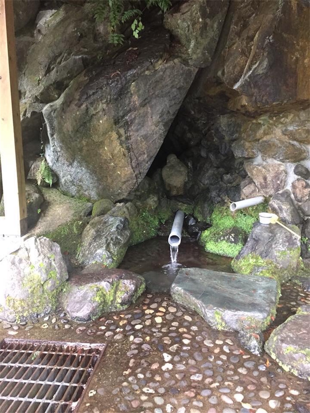 f:id:kaori3211:20210112101110j:image