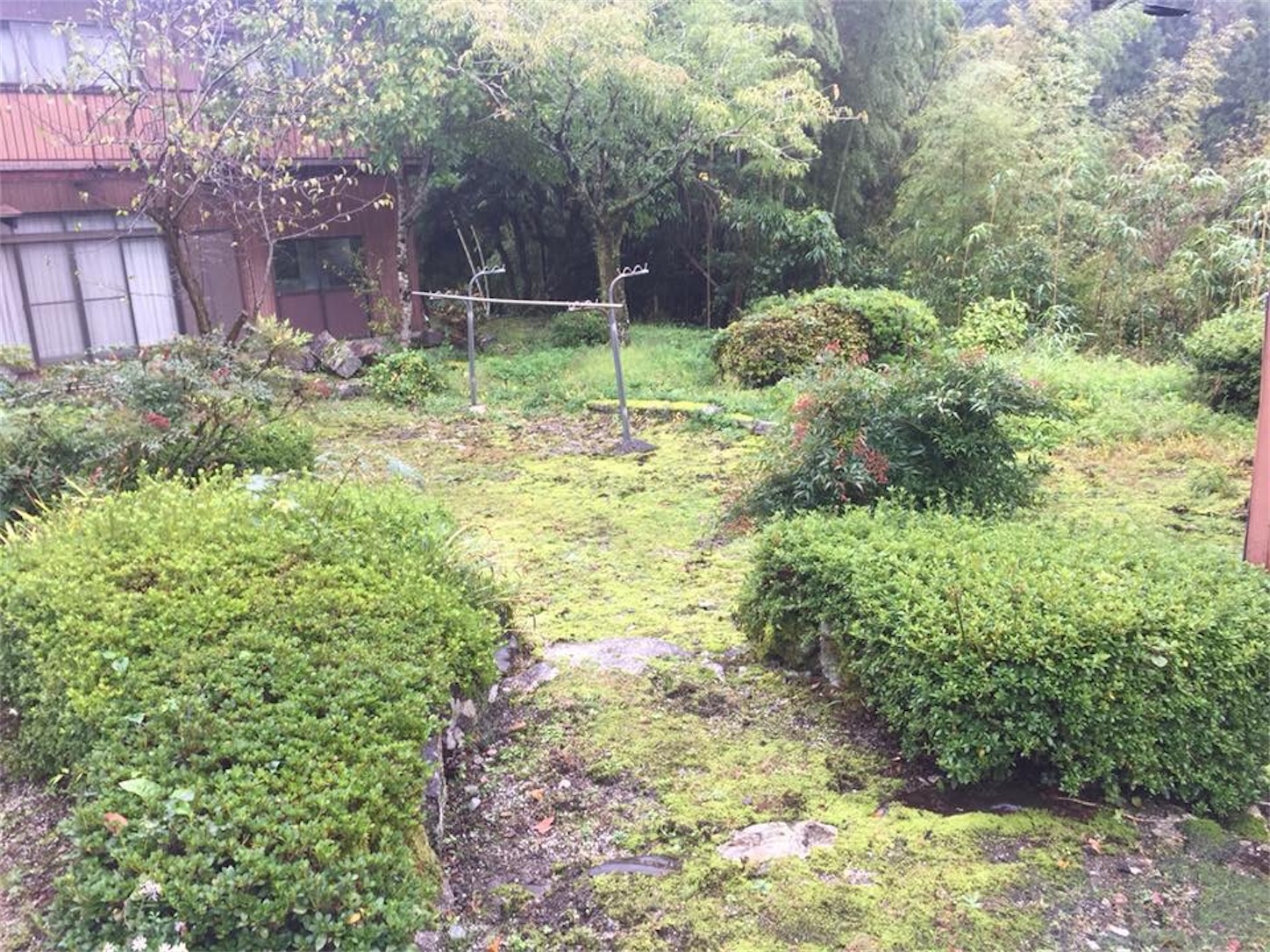 f:id:kaori3211:20210112101209j:image