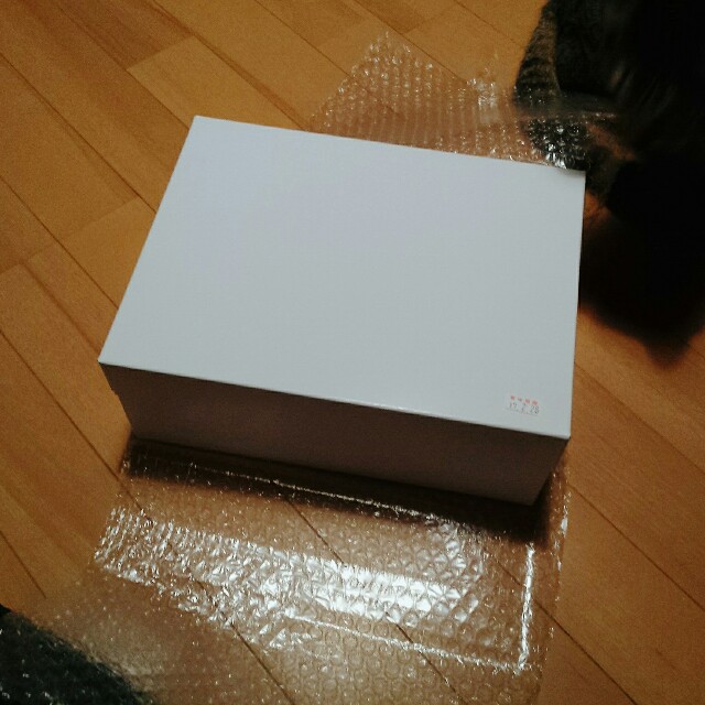 f:id:kaori4cat:20170210220906j:plain f:id:kaori4cat:20170210220906j:plain