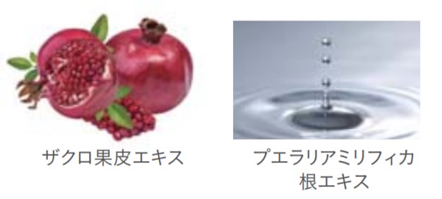 f:id:kaorimama-usa:20180523172216j:plain f:id:kaorimama-usa:20180523172216j:plain