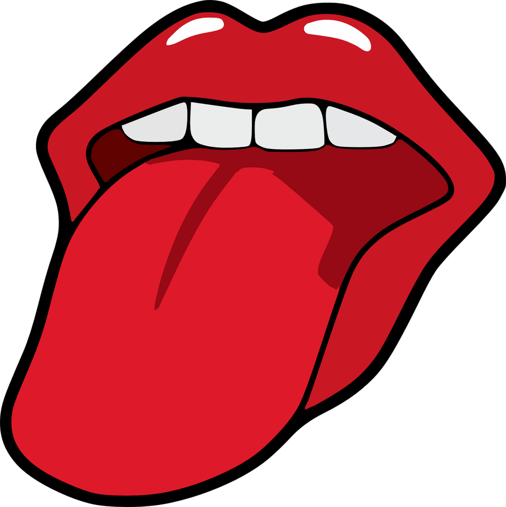 f:id:kaorimomo:20190204134358p:plain f:id:kaorimomo:20190204134358p:plain