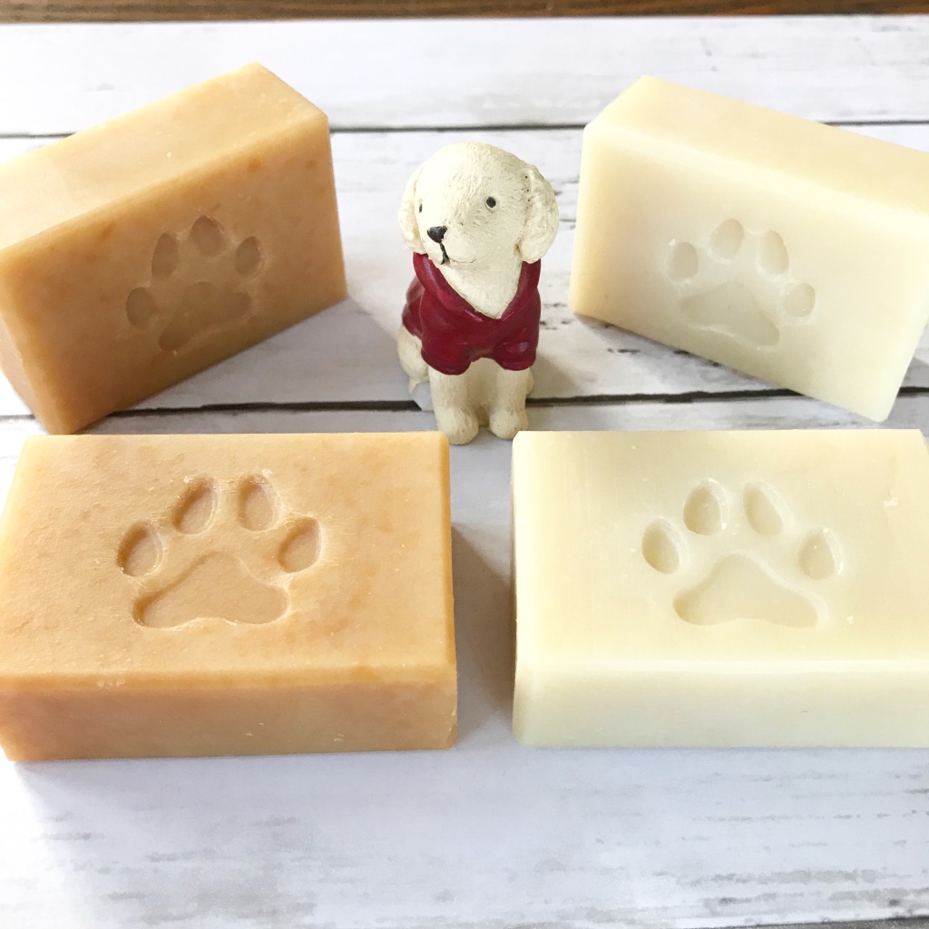 f:id:kaorin_dogcare:20190830214727j:plain