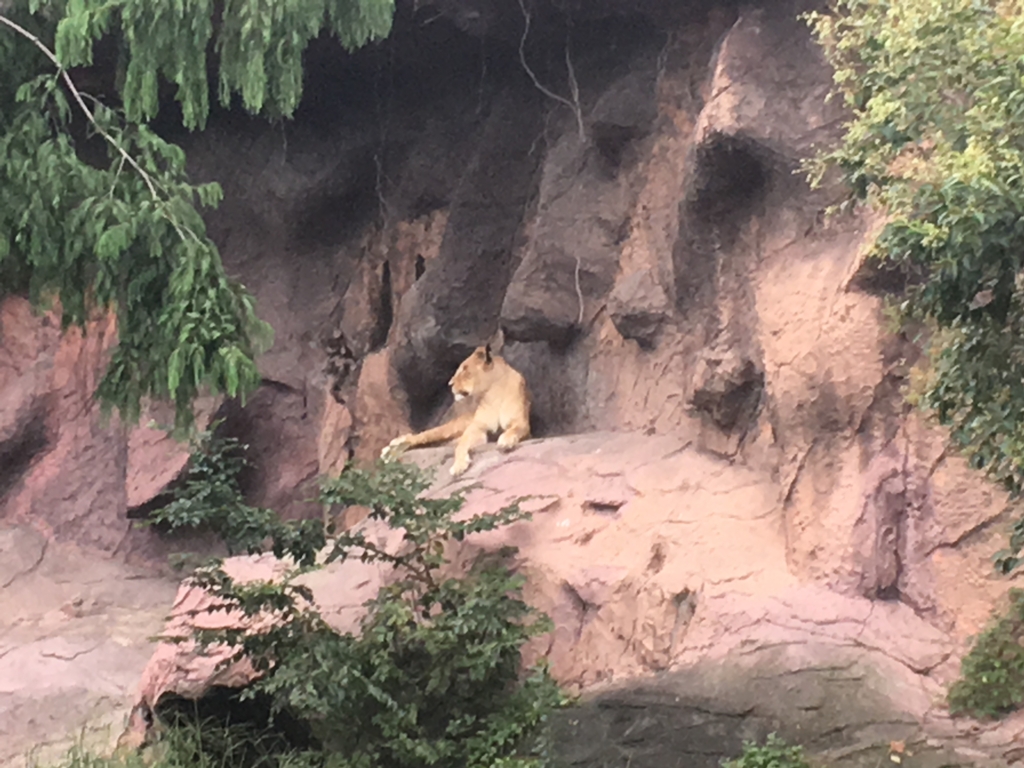 f:id:kaoringo7:20160929152554j:plain