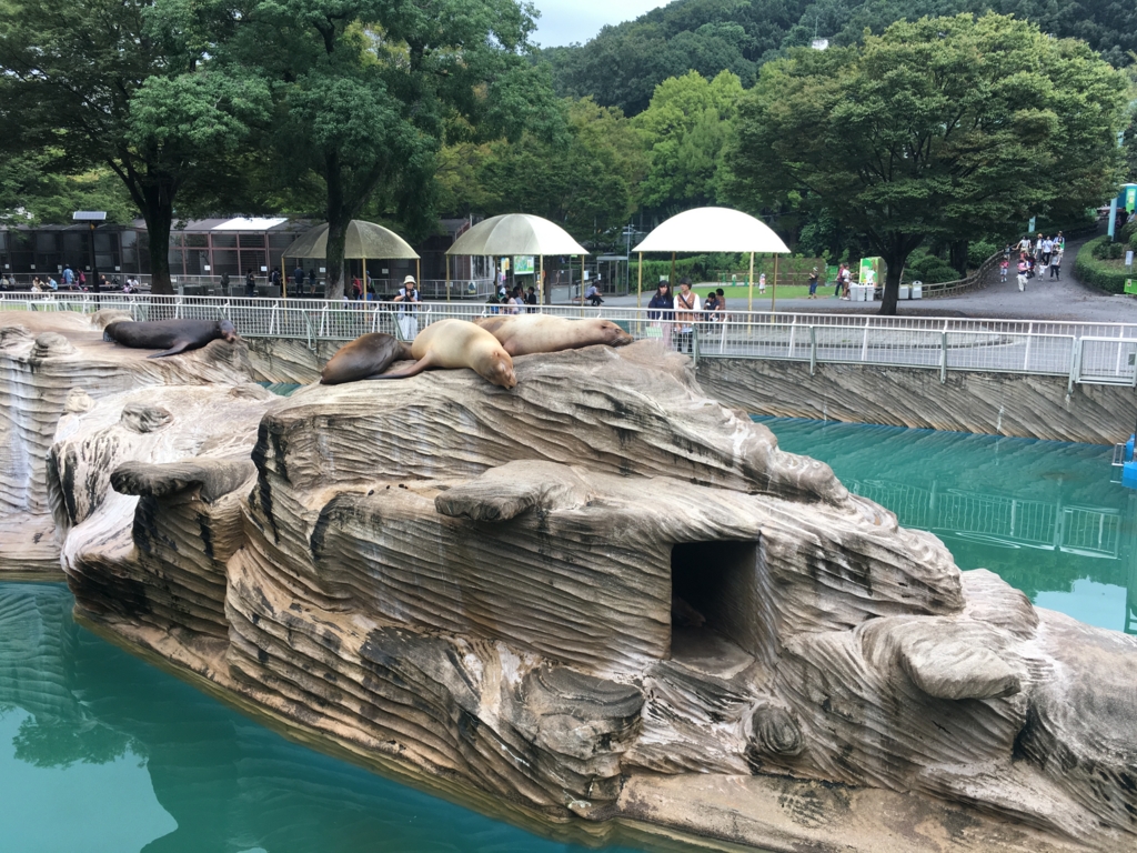 f:id:kaoringo7:20160929154136j:plain