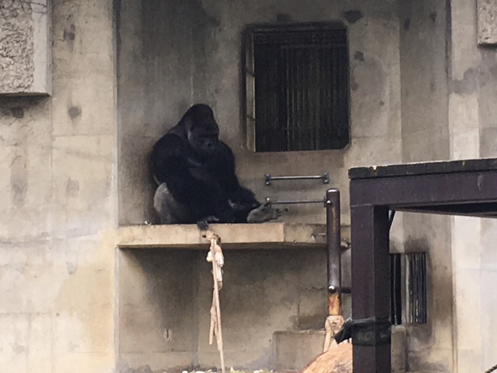 f:id:kaoringo7:20160929154554j:plain