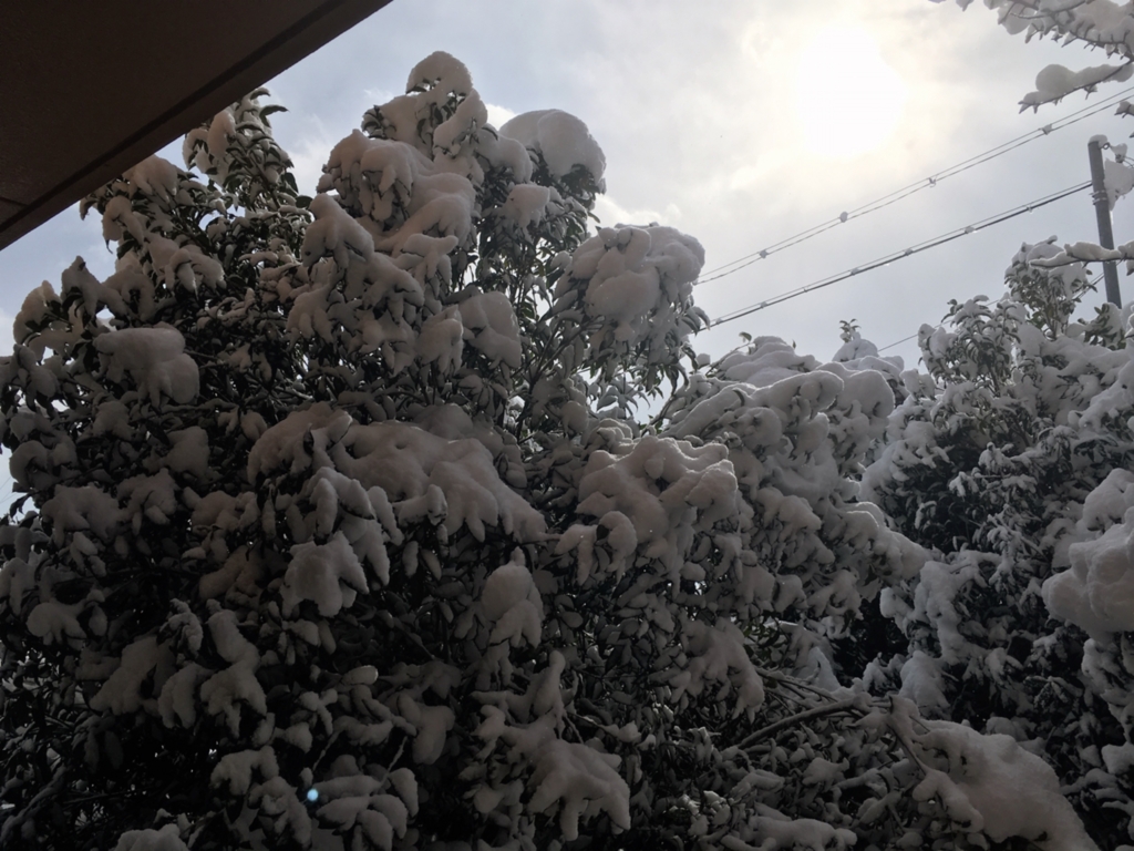 ３歳の娘と雪遊びした話と 雪国あるある について かおりんごの好きなこと