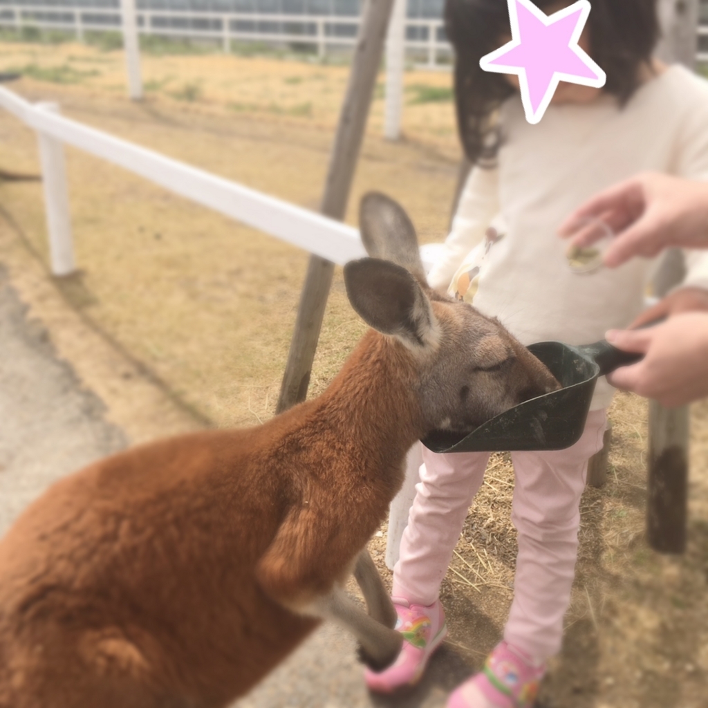 f:id:kaoringo7:20170728113043j:plain