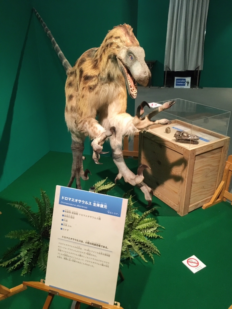 f:id:kaoringo7:20170823150304j:plain