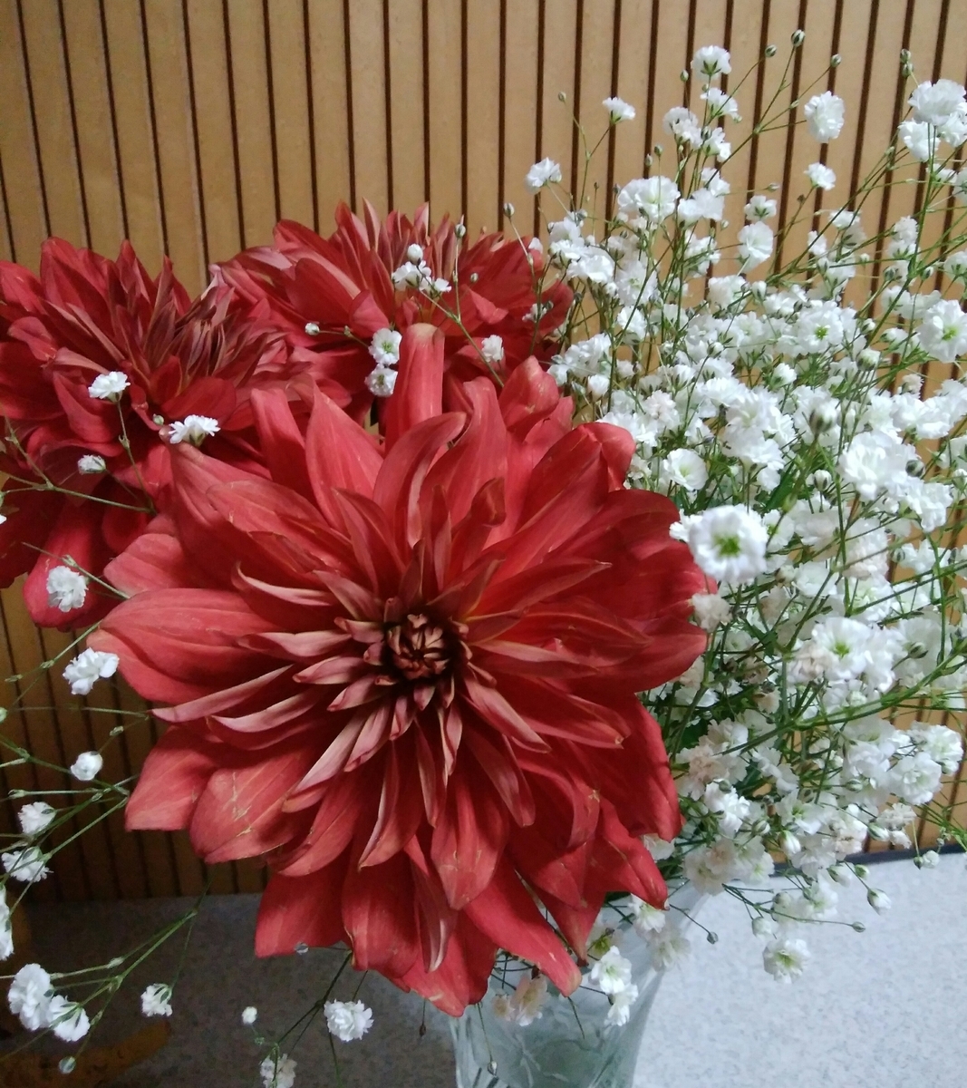 f:id:kaoripiano:20190331224652j:plain f:id:kaoripiano:20190331224652j:plain