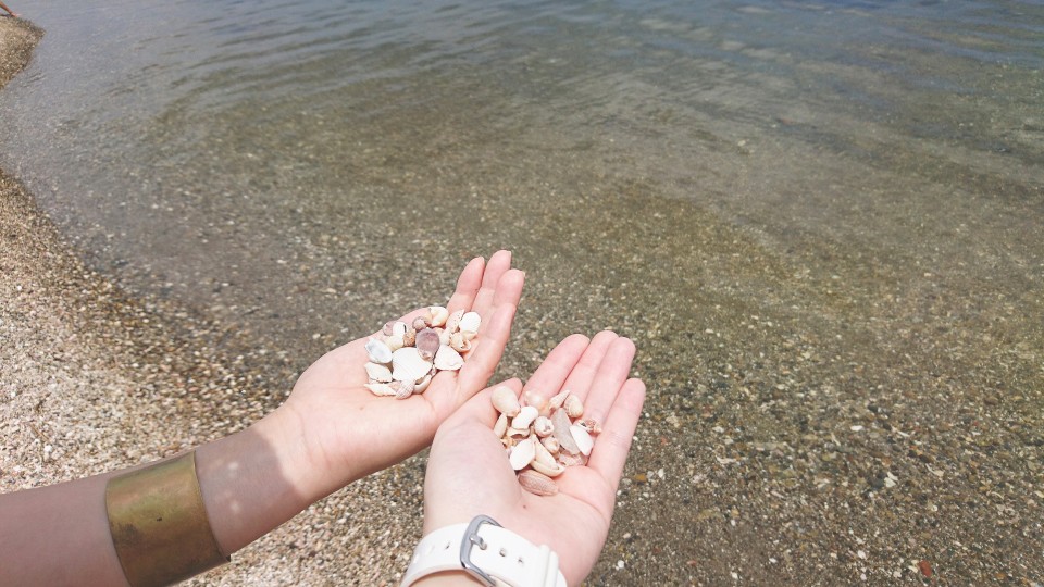 f:id:kaoriychan:20190723173806j:plain f:id:kaoriychan:20190723173806j:plain