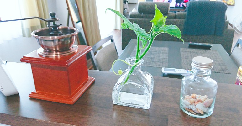 f:id:kaoriychan:20190801141029j:plain f:id:kaoriychan:20190801141029j:plain