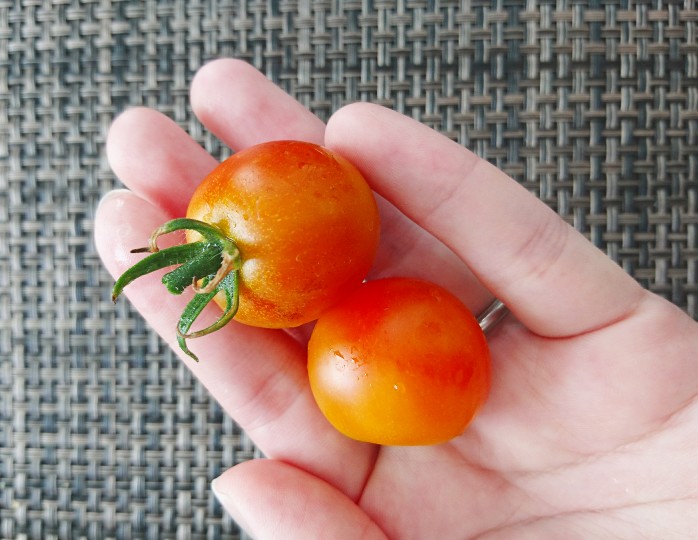 f:id:kaoriychan:20190819080638j:plain f:id:kaoriychan:20190819080638j:plain
