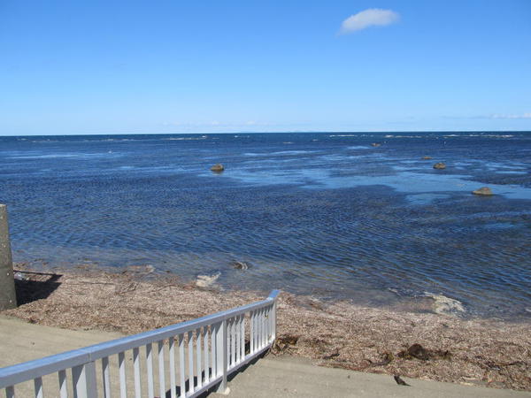 北海道110981.jpg