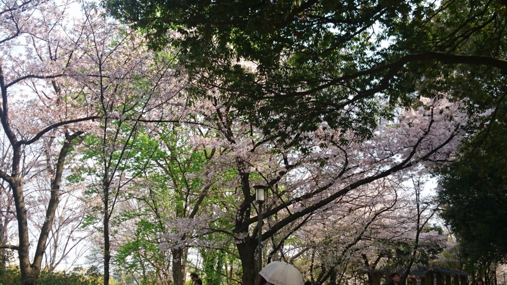 f:id:kaorri:20180401182339j:plain