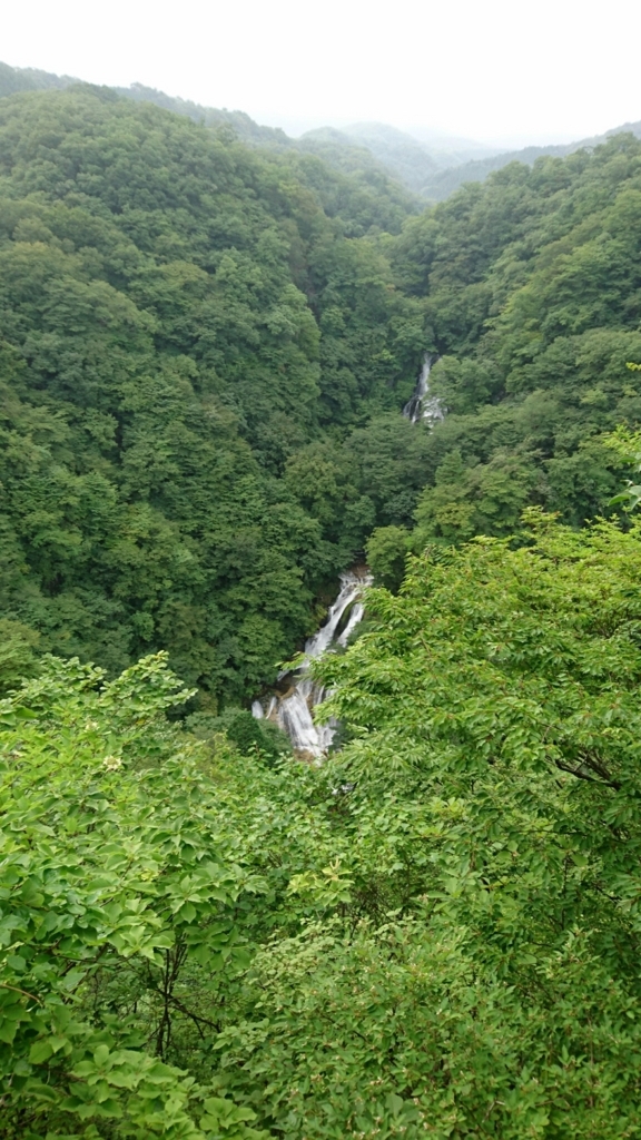 f:id:kaoru0340:20180815163305j:plain