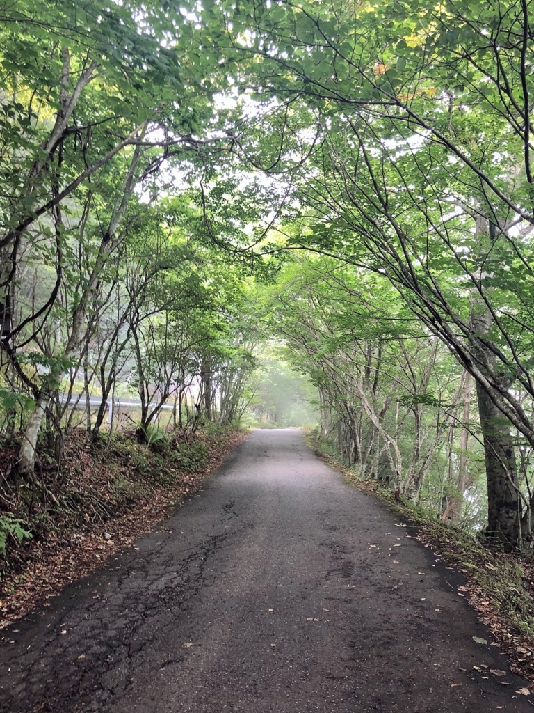 f:id:kaoru0340:20180815163900j:plain