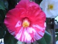 20130324174748