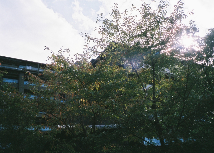 f:id:kaoruda:20150923173911j:image f:id:kaoruda:20150923173911j:image