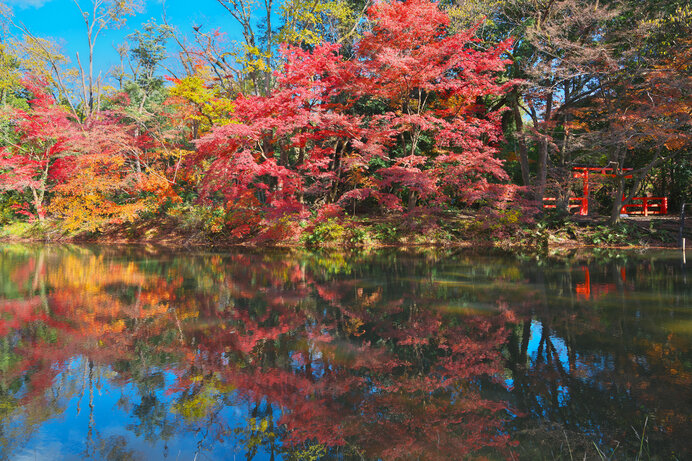 f:id:kaoruikeda:20201128124143j:plain