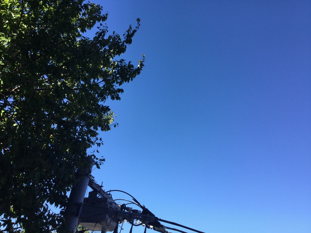 f:id:kaorujinsei:20191013120227j:plain