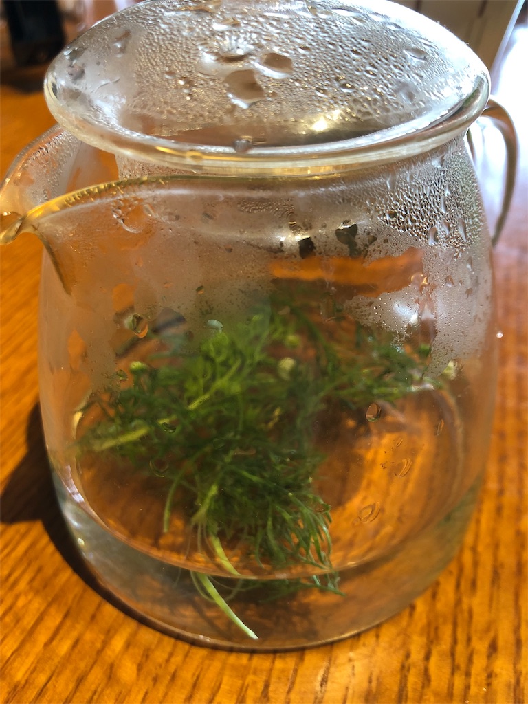 f:id:kaorunrun35:20190617214638j:image f:id:kaorunrun35:20190617214638j:image