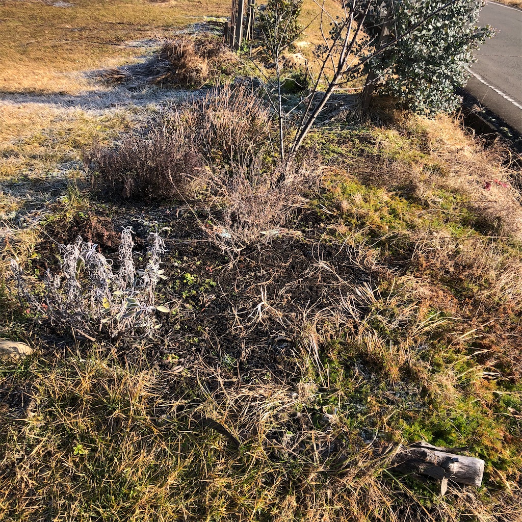f:id:kaorunrun35:20191225093448j:image