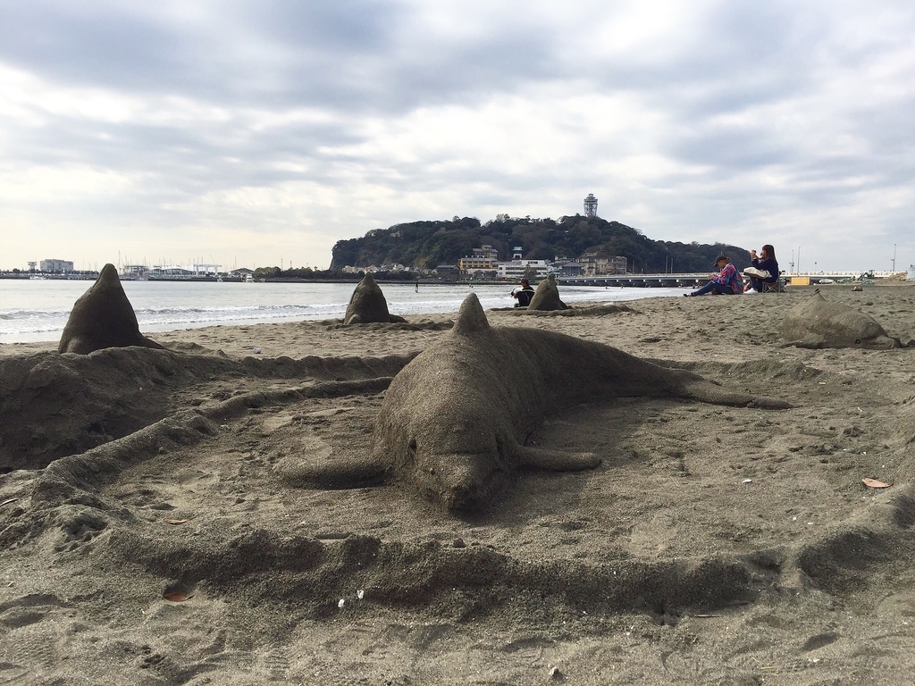 ３０年前に南城市海岸にて拾ったかいがらたち 30年前に南城市海岸にて拾ったかいがらたち 30年前に南城市海岸にて