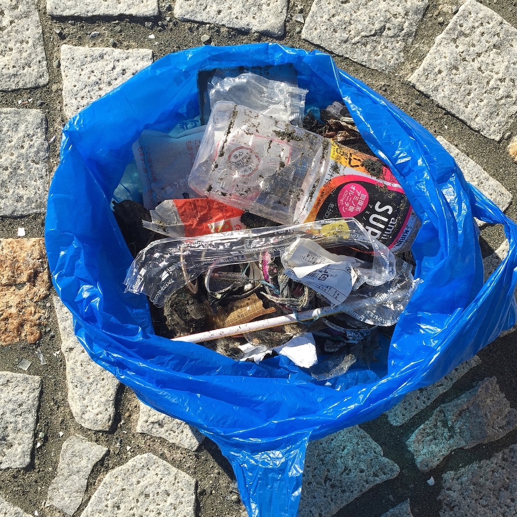 f:id:kaotandoll:20181229212544j:plain