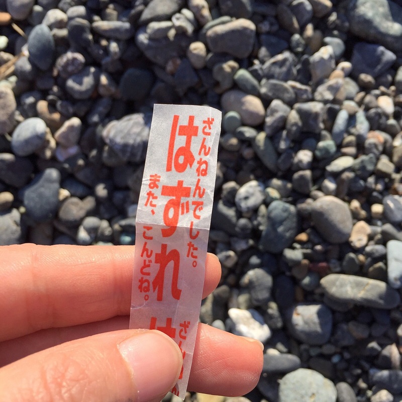 本日波高し！茅ヶ崎の海岸で漂流物とゴミ拾い。 - 貝殻こけし舎
