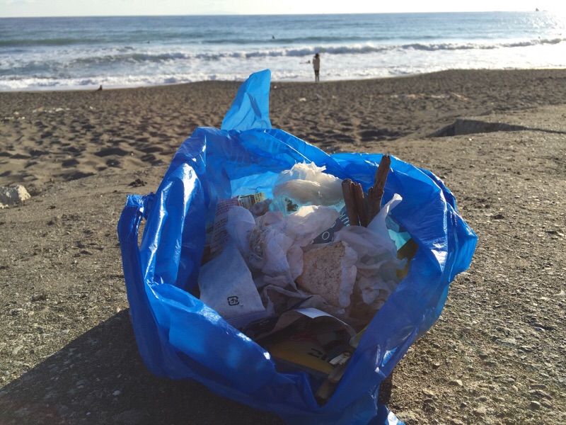 本日波高し！茅ヶ崎の海岸で漂流物とゴミ拾い。 - 貝殻こけし舎