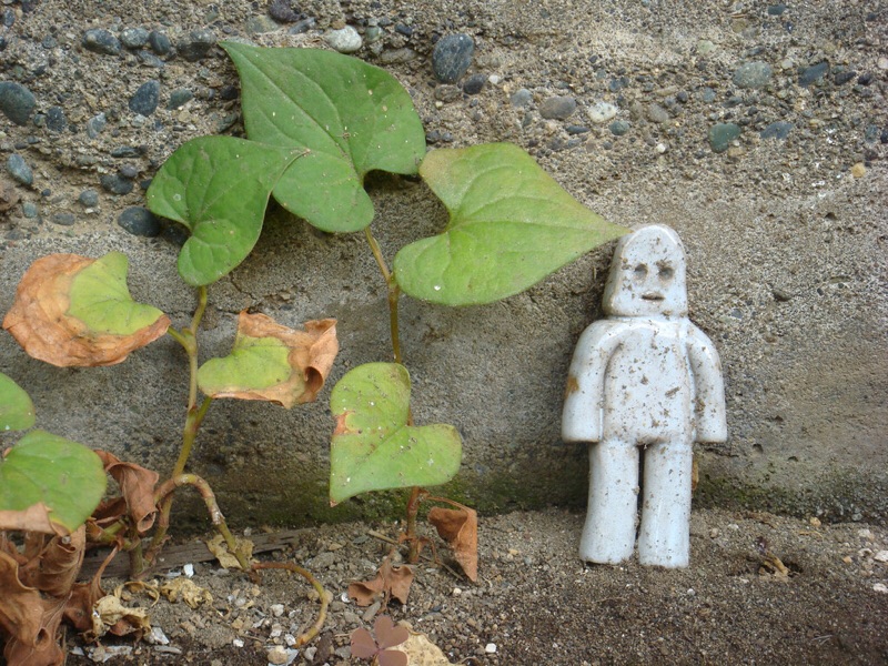 f:id:kaotandoll:20190119080940j:plain