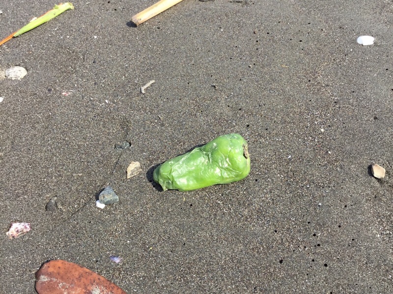 f:id:kaotandoll:20190224214308j:plain