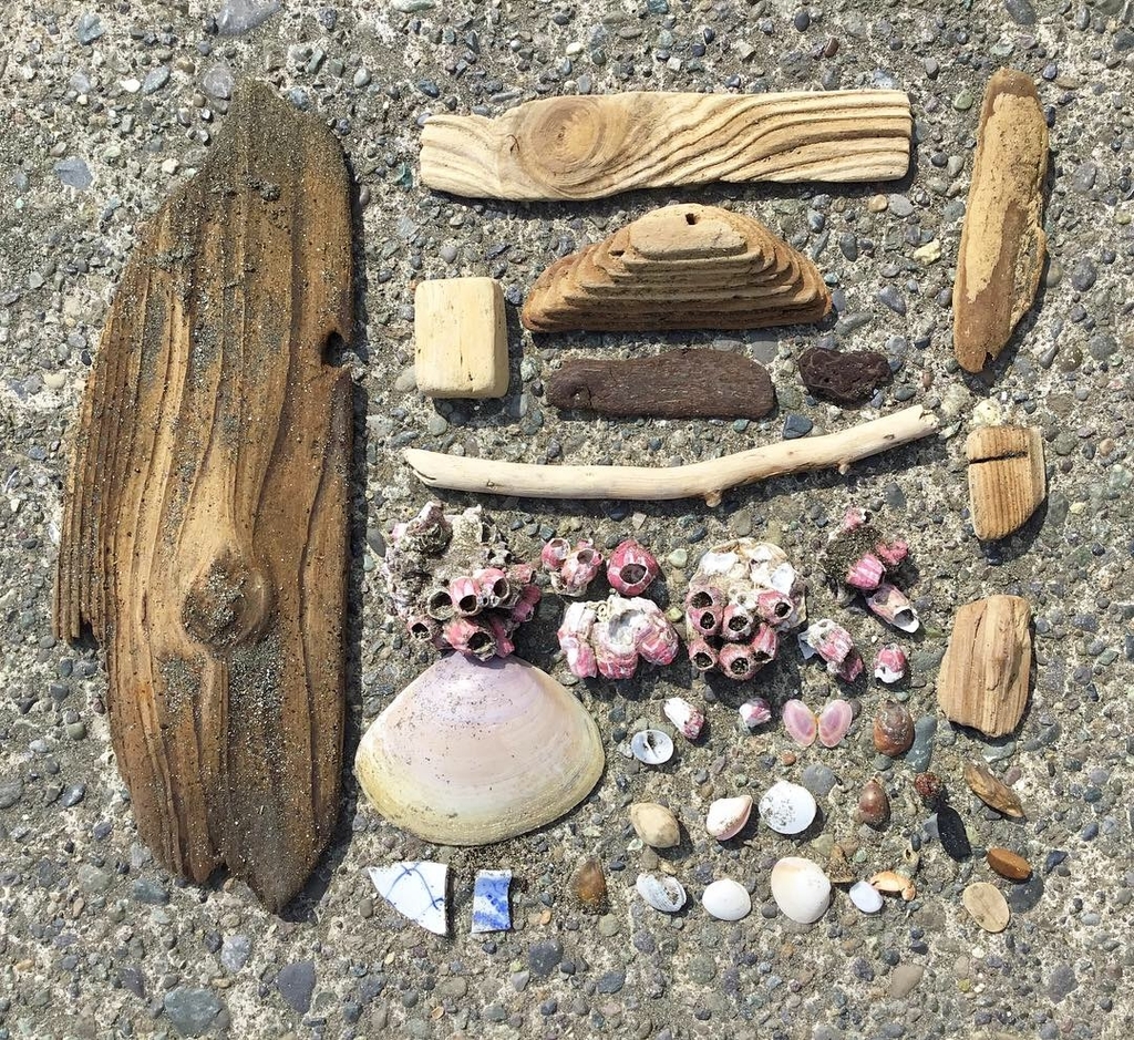 f:id:kaotandoll:20190224214905j:plain